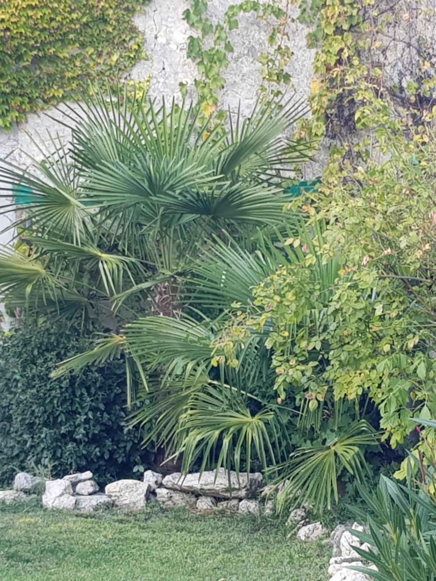 La Maison Malabar Villefranche-du-Queyran Luaran gambar